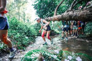 BIB: 
                            <button type="button" onclick="openModal(25450046)" class="btn btn-primary btn-sm float-right btn-popup" data-toggle="modal" data-target=".modal-high-quality">
                        <i class="fas fa-shopping-cart"></i> Add to Cart
                    </button>
                                            <button type="button" onclick="isThisMe(25450046, true)" class="btn btn-success btn-sm float-right btn-popup btn-isme hidden" data-toggle="tooltip" data-placement="bottom" title="นี่คือรูปของคุณใช่ไหม คลิกที่นี่เพื่อเอาเข้าอัลบั้ม">
                        <i class="fas fa-plus"></i> Add to album
                    </button>
                    <button type="button" onclick="isThisMe(25450046, false)" class="btn btn-warning btn-sm float-right btn-popup btn-isnotme hidden">
                        <i class="fas fa-ban"></i> Remove from album
                    </button>